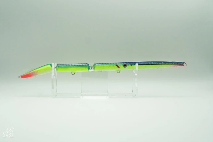 jointed barracuda