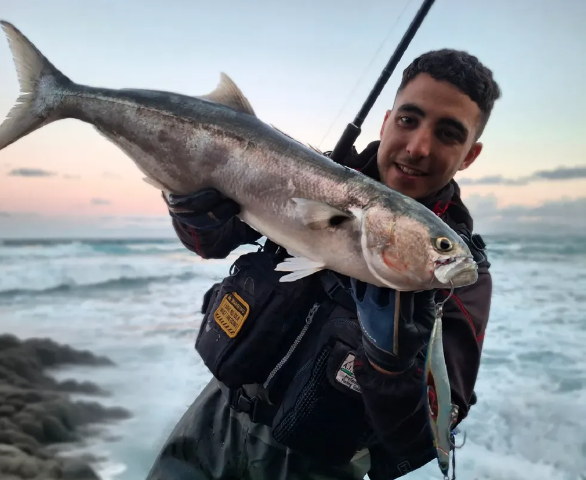 pesce serra