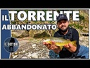 youtube - [Video]